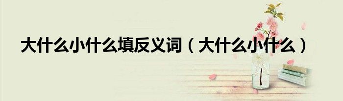 大什么小什么填反義詞（大什么小什么）