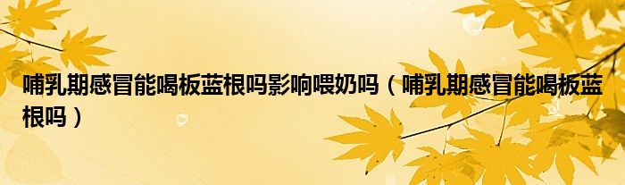 哺乳期感冒能喝板藍根嗎影響喂奶嗎（哺乳期感冒能喝板藍根嗎）