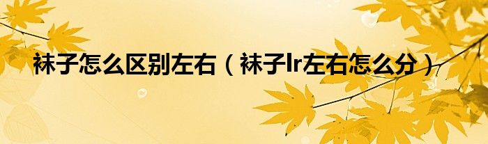 襪子怎么區(qū)別左右（襪子lr左右怎么分）