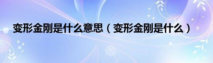 變形金剛是什么意思（變形金剛是什么）