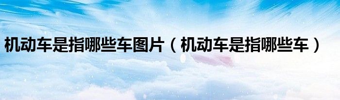 機動車是指哪些車圖片（機動車是指哪些車）