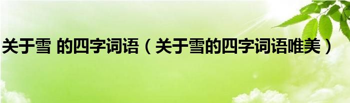 關(guān)于雪 的四字詞語（關(guān)于雪的四字詞語唯美）