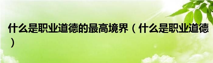 什么是職業(yè)道德的最高境界（什么是職業(yè)道德）