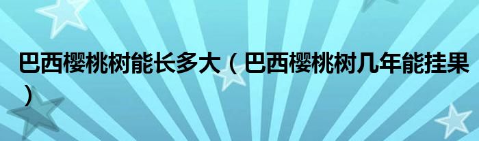 巴西櫻桃樹能長多大（巴西櫻桃樹幾年能掛果）
