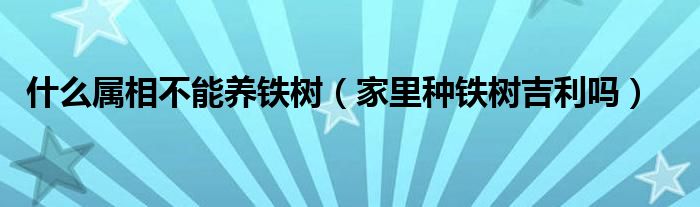 什么屬相不能養(yǎng)鐵樹（家里種鐵樹吉利嗎）