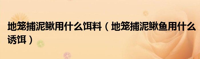 地籠捕泥鰍用什么餌料（地籠捕泥鰍魚用什么誘餌）
