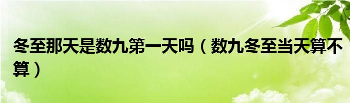 冬至那天是數(shù)九第一天嗎（數(shù)九冬至當(dāng)天算不算）