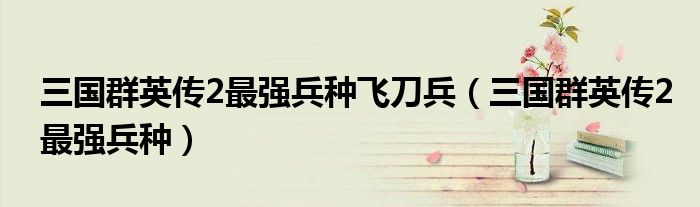 三國(guó)群英傳2最強(qiáng)兵種飛刀兵（三國(guó)群英傳2最強(qiáng)兵種）