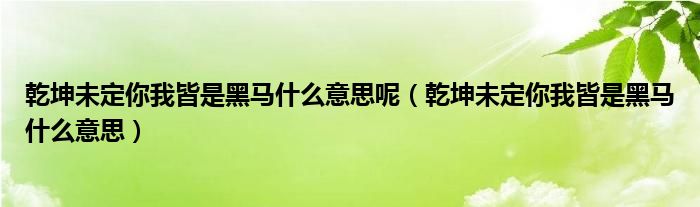 乾坤未定你我皆是黑馬什么意思呢（乾坤未定你我皆是黑馬什么意思）