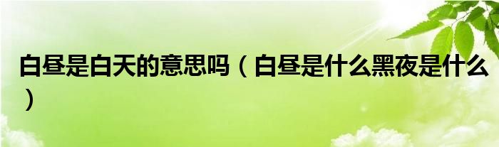 白晝是白天的意思嗎（白晝是什么黑夜是什么）