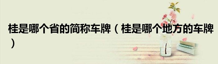 桂是哪個(gè)省的簡(jiǎn)稱車牌（桂是哪個(gè)地方的車牌）