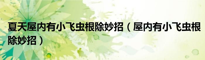 夏天屋內(nèi)有小飛蟲根除妙招（屋內(nèi)有小飛蟲根除妙招）
