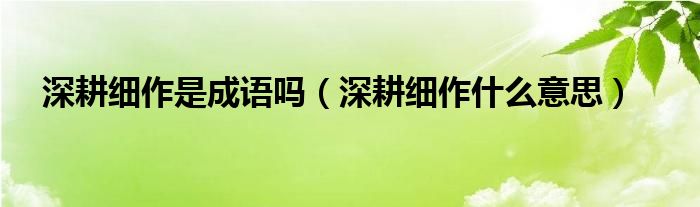 深耕細作是成語嗎（深耕細作什么意思）