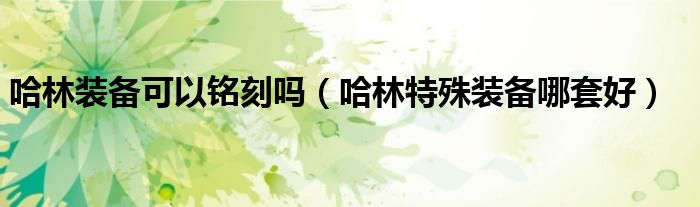 哈林裝備可以銘刻嗎（哈林特殊裝備哪套好）
