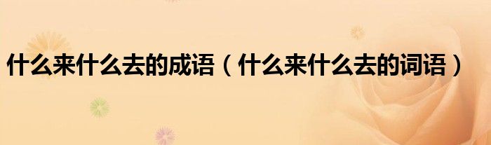 什么來(lái)什么去的成語(yǔ)（什么來(lái)什么去的詞語(yǔ)）