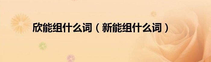 欣能組什么詞（新能組什么詞）