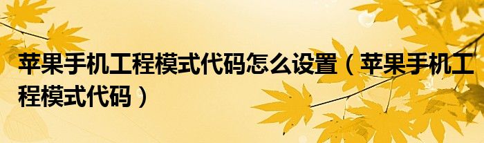 蘋果手機工程模式代碼怎么設(shè)置（蘋果手機工程模式代碼）