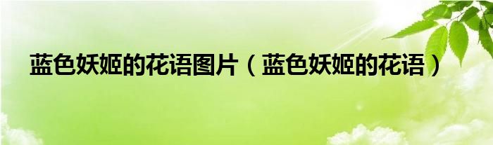 藍(lán)色妖姬的花語(yǔ)圖片（藍(lán)色妖姬的花語(yǔ)）