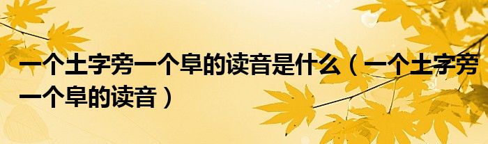 一個(gè)土字旁一個(gè)阜的讀音是什么（一個(gè)土字旁一個(gè)阜的讀音）