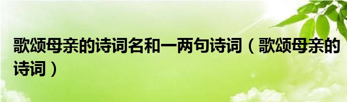 歌頌?zāi)赣H的詩詞名和一兩句詩詞（歌頌?zāi)赣H的詩詞）