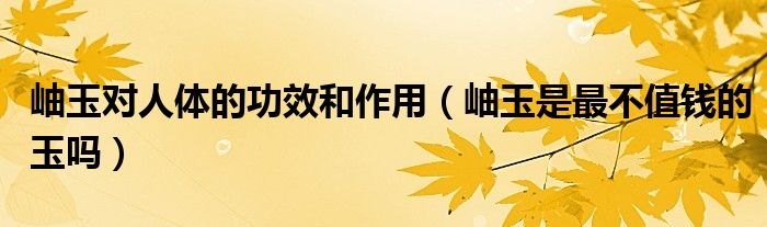 岫玉對(duì)人體的功效和作用（岫玉是最不值錢的玉嗎）