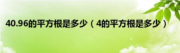 40.96的平方根是多少（4的平方根是多少）