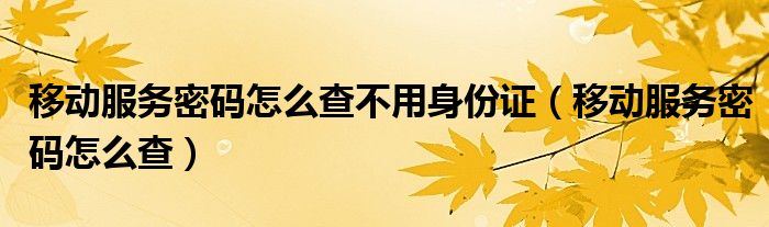 移動(dòng)服務(wù)密碼怎么查不用身份證（移動(dòng)服務(wù)密碼怎么查）