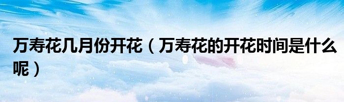 萬壽花幾月份開花（萬壽花的開花時間是什么呢）