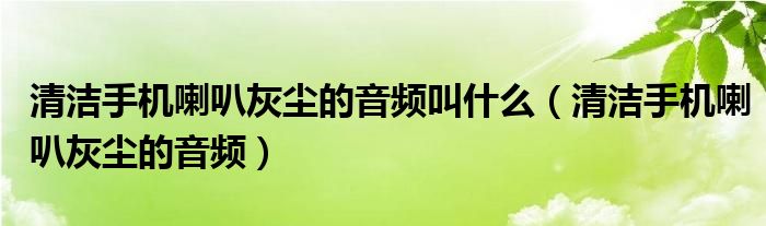 清潔手機(jī)喇叭灰塵的音頻叫什么（清潔手機(jī)喇叭灰塵的音頻）