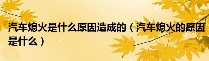 汽車熄火是什么原因造成的（汽車熄火的原因是什么）