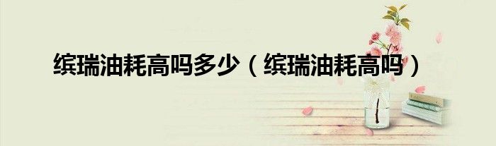 繽瑞油耗高嗎多少（繽瑞油耗高嗎）