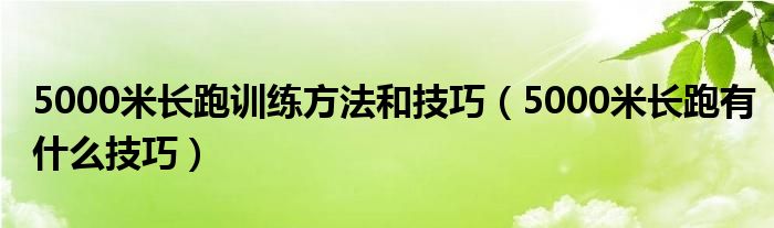 5000米長(zhǎng)跑訓(xùn)練方法和技巧（5000米長(zhǎng)跑有什么技巧）
