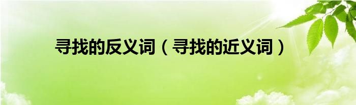 尋找的反義詞（尋找的近義詞）