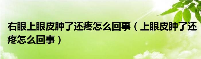 右眼上眼皮腫了還疼怎么回事（上眼皮腫了還疼怎么回事）