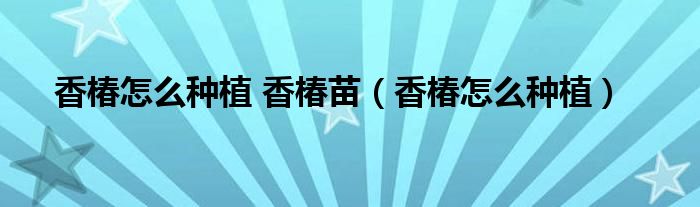 香椿怎么種植 香椿苗（香椿怎么種植）