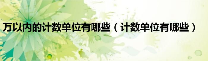 萬以內(nèi)的計(jì)數(shù)單位有哪些（計(jì)數(shù)單位有哪些）
