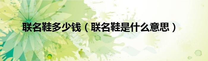 聯(lián)名鞋多少錢（聯(lián)名鞋是什么意思）