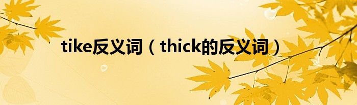tike反義詞（thick的反義詞）