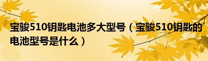 寶駿510鑰匙電池多大型號（寶駿510鑰匙的電池型號是什么）