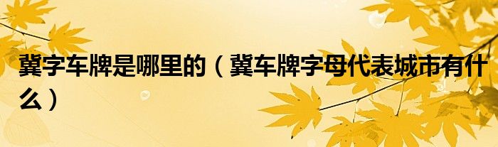 冀字車牌是哪里的（冀車牌字母代表城市有什么）