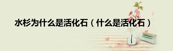 水杉為什么是活化石（什么是活化石）
