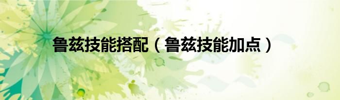 魯茲技能搭配（魯茲技能加點）