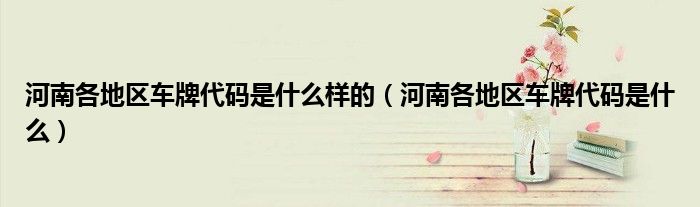 河南各地區(qū)車牌代碼是什么樣的（河南各地區(qū)車牌代碼是什么）