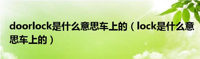 doorlock是什么意思車上的（lock是什么意思車上的）