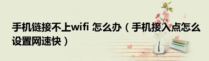 手機(jī)鏈接不上wifi 怎么辦（手機(jī)接入點(diǎn)怎么設(shè)置網(wǎng)速快）