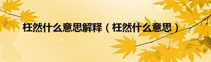枉然什么意思解釋（枉然什么意思）
