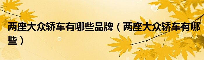 兩座大眾轎車有哪些品牌（兩座大眾轎車有哪些）