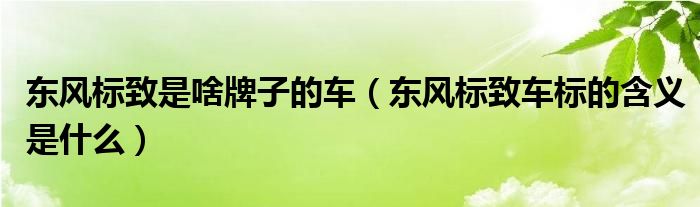 東風(fēng)標(biāo)致是啥牌子的車（東風(fēng)標(biāo)致車標(biāo)的含義是什么）
