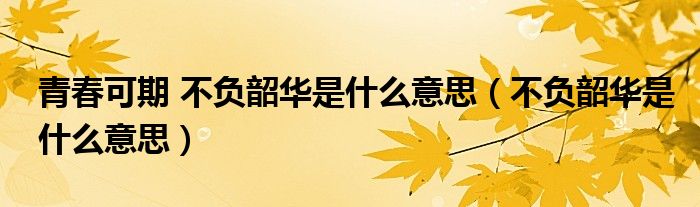 青春可期 不負(fù)韶華是什么意思（不負(fù)韶華是什么意思）