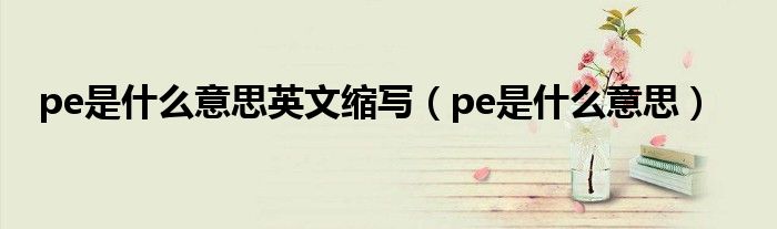 pe是什么意思英文縮寫（pe是什么意思）